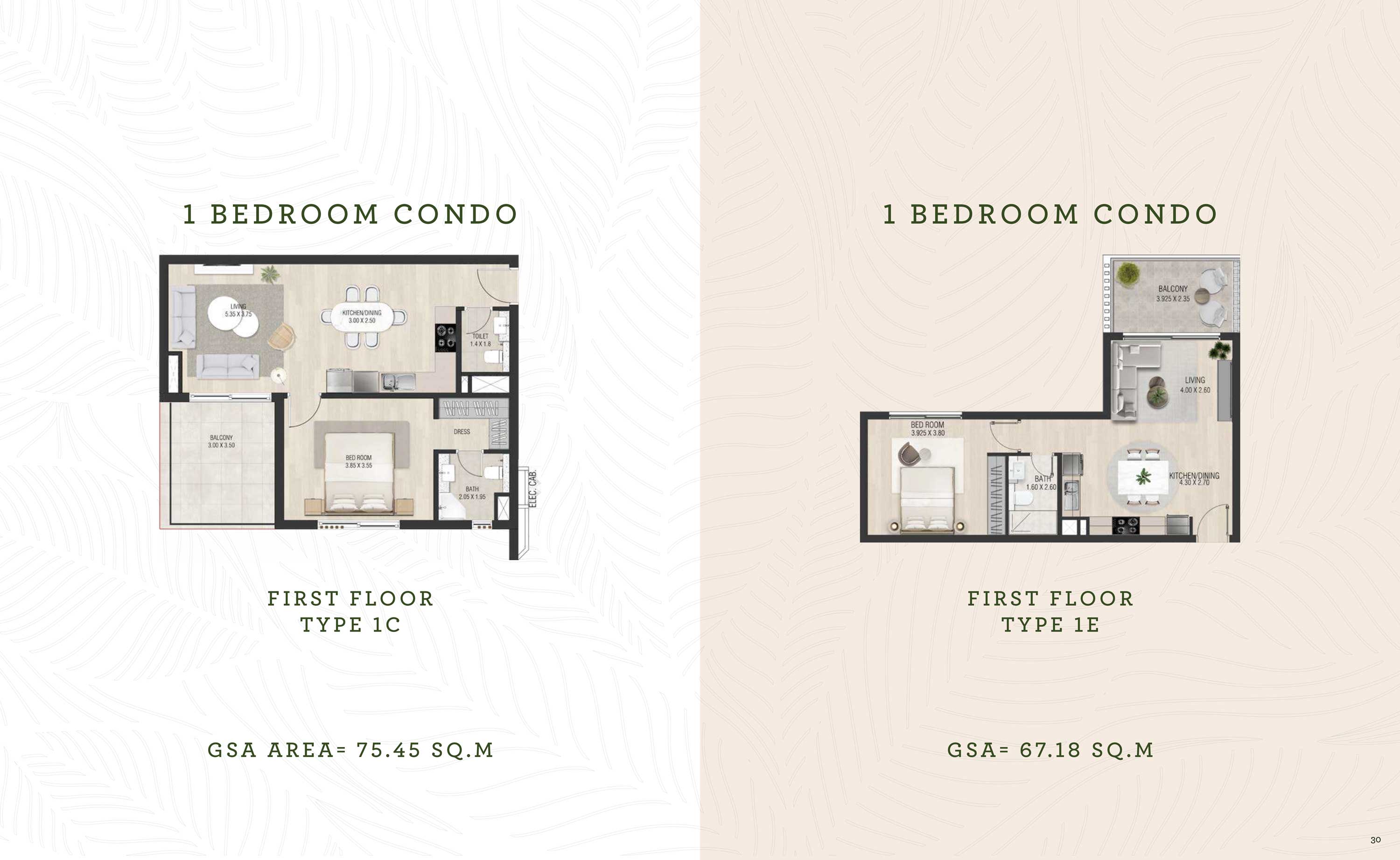 1 Bedroom Floor Plan