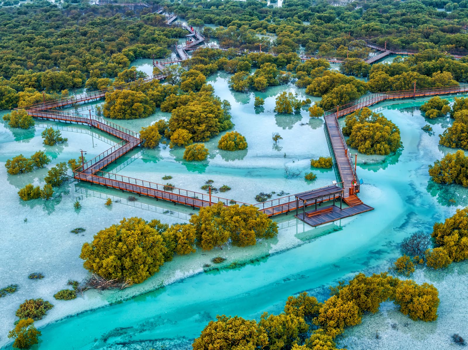 Jubail Mangrove Park: